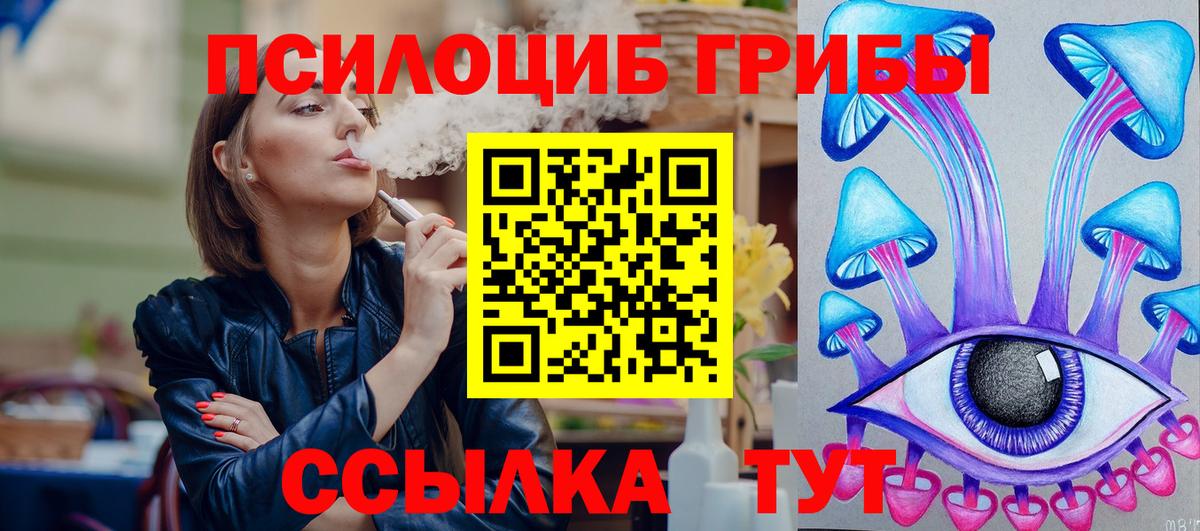 Псилоцибиновые грибы Psilocybine cubensis Великий Устюг