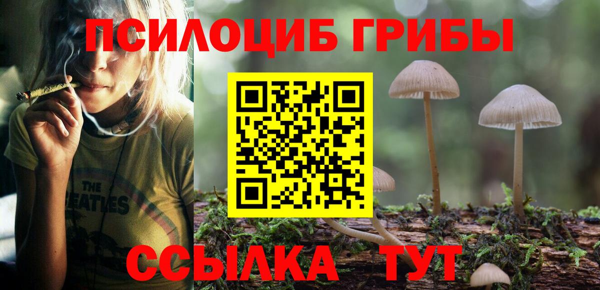 Великий Устюг  Псилоцибиновые грибы Cubensis  Псилоцибиновые грибы Psilocybe  Вход с VPN 