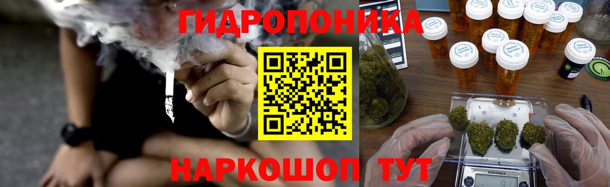Бошки Шишки OG Kush Великий Устюг